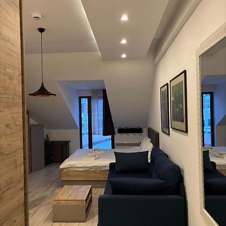 Kopaonik Apartmani Milmari - Katic מראה חיצוני תמונה